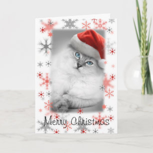 Tomt kattunge christmas-kort helgkort