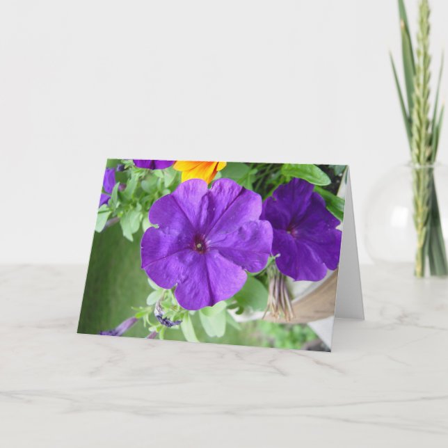 TOMT KORT (Framsida)