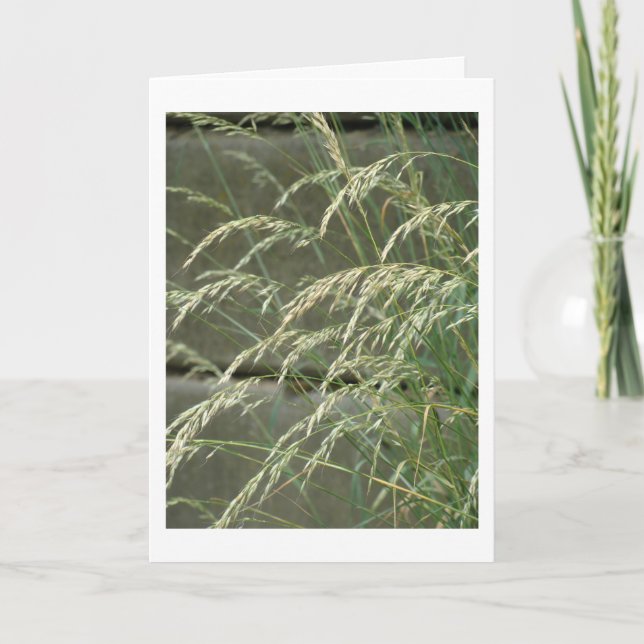 Tomt kort (Framsida)