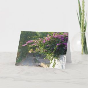 Tomt kort - Bougainvillea på en vägg