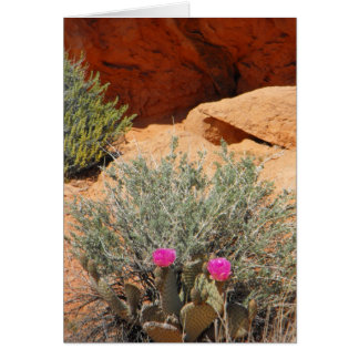 Tomt kort, DSCF0348, ~in din words~ Hälsningskort