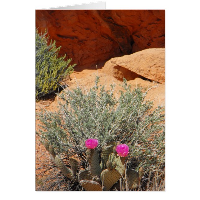 Tomt kort, DSCF0348, ~in din words~ Hälsningskort (Framsidan)