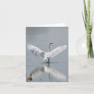 Tomt kort, Egret Tack Kort