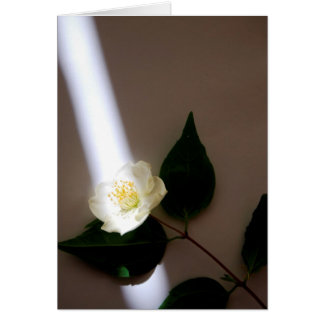 Tomt kort för anpassade