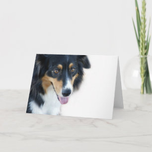 Tomt kort för Aussie hund