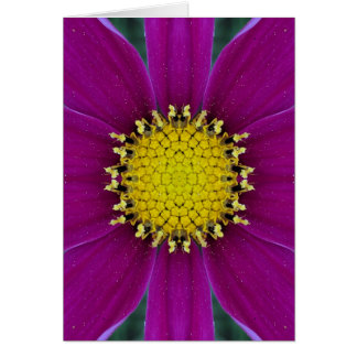 Tomt kort för blomma