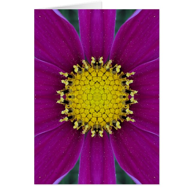 Tomt kort för blomma (Framsidan)