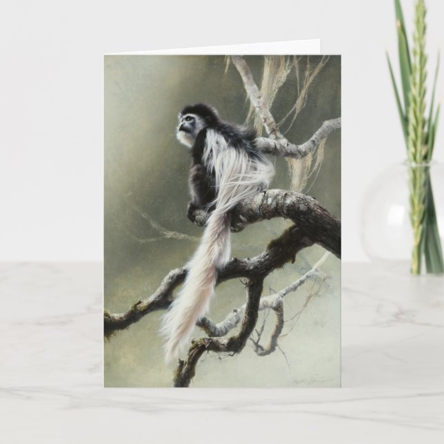 Tomt kort för Colobus av Andrew Denman (Framsida)