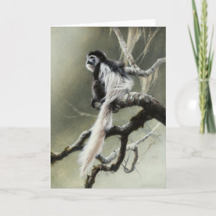 Tomt kort för Colobus av Andrew Denman