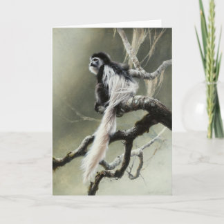 Tomt kort för Colobus av Andrew Denman