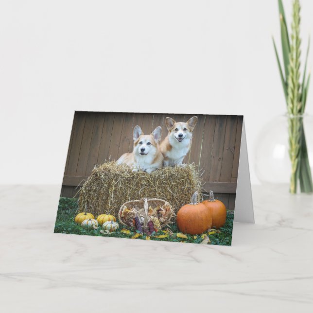 Tomt kort för Corginedgång (Framsida)