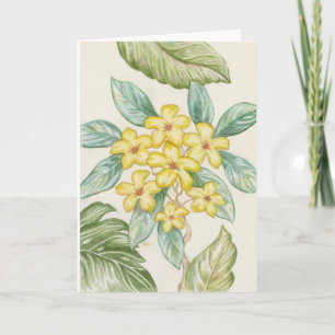 Tomt kort för gul Plumeria