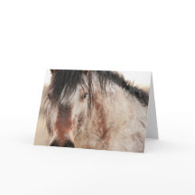 Tomt kort för Herr Behr