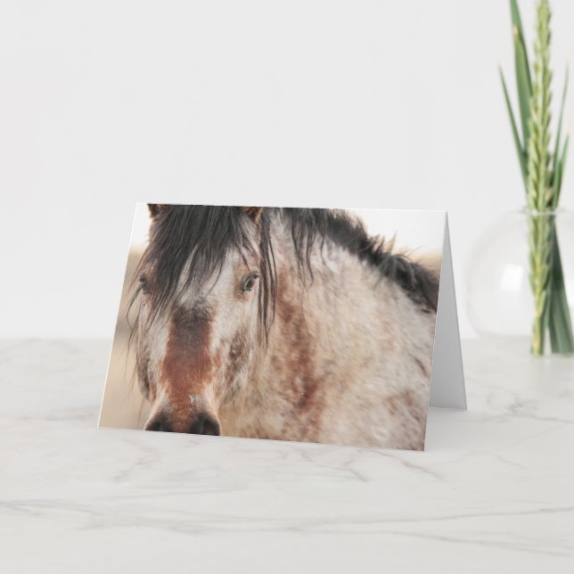 Tomt kort för Herr Behr (Framsida)