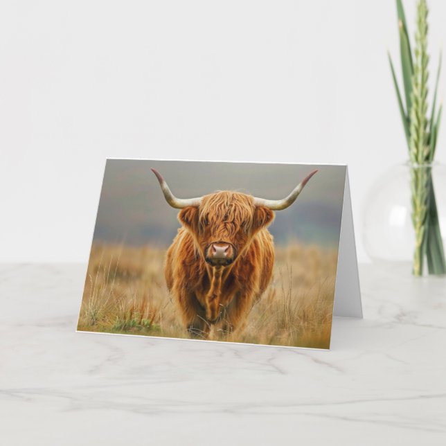 Tomt kort för höglandskö (Framsida)