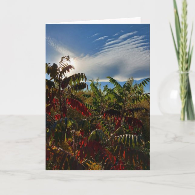 Tomt kort för kanadensisk höst-Färg (Framsida)