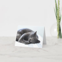 Tomt kort för kute-Grått-katalog