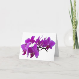 Tomt kort för lila Orchids