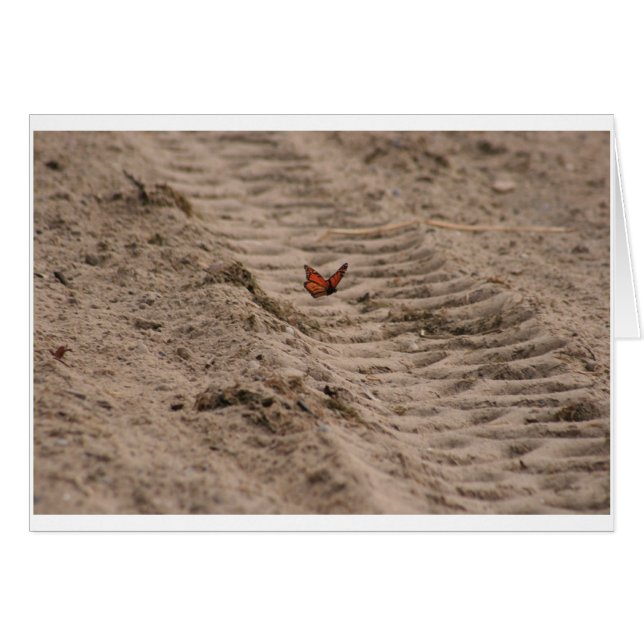 Tomt kort för monark (Framsidan Horizontal)