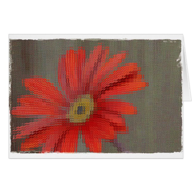 Tomt kort för orange Gerbera (Framsidan Horizontal)