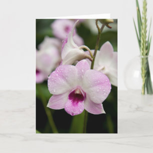 Tomt kort för purpurfärgad Orchid