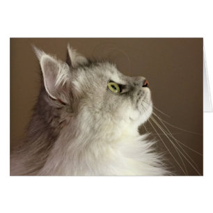 Tomt kort för Regal Siberian porträtt