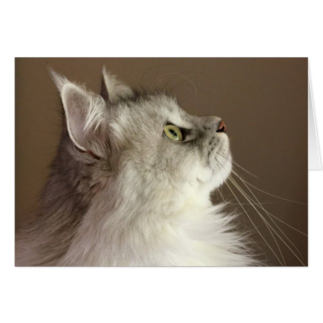 Tomt kort för Regal Siberian porträtt (Framsidan Horizontal)