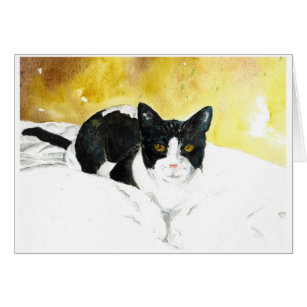 Tomt kort för svartvit katt
