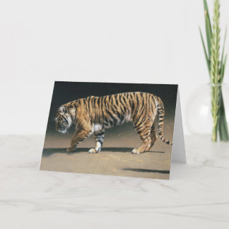 Tomt kort för tiger av Andrew Denman