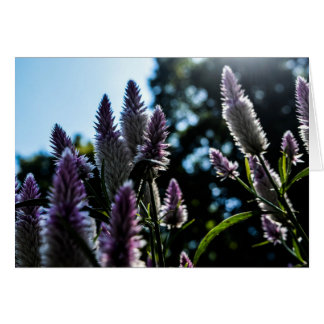 Tomt kort för vacker Blommigt för Lila