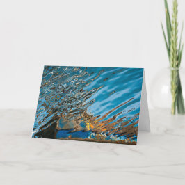 Tomt kort för vätskeskyttel för livWellfleet fiske