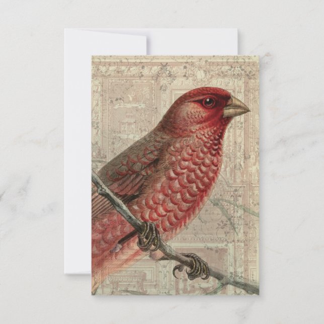 Tomt kort för vintagens fågelhämtning (Framsida)