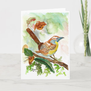 Tomt kort för Wren-vattenfärg