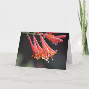 Tomt kort - förmiddagstid