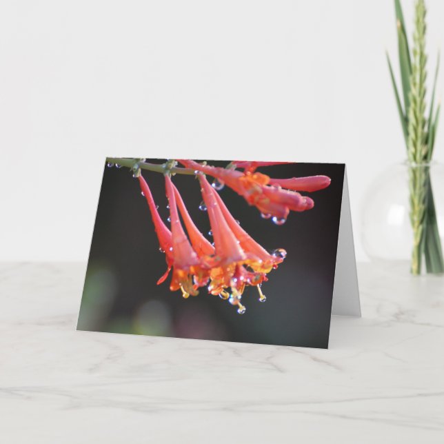 Tomt kort - förmiddagstid (Framsida)