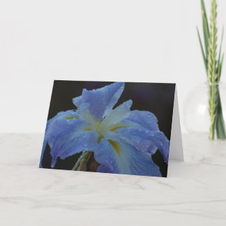 Tomt kort - Iris