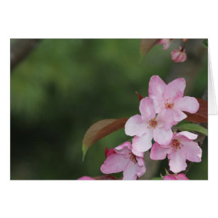 Tomt kort med bakgrunden för Crab Apple-Blommar