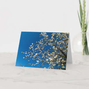 Tomt kort med bild av blommar träd