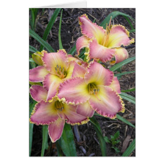 Tomt kort med Mojave-morgon