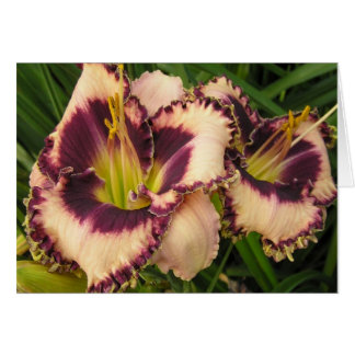 Tomt kort med Pair av Eyed Daylilies