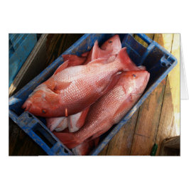 Tomt kort med röd ögonblicksbild, bakgrund