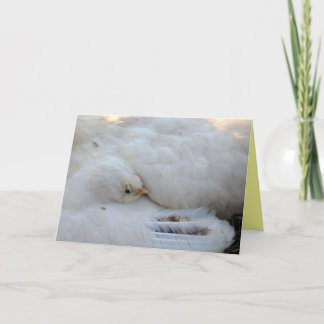 Tomt kort med versaler