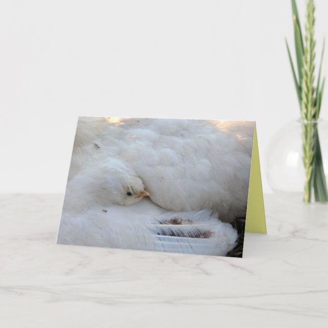 Tomt kort med versaler (Framsida)