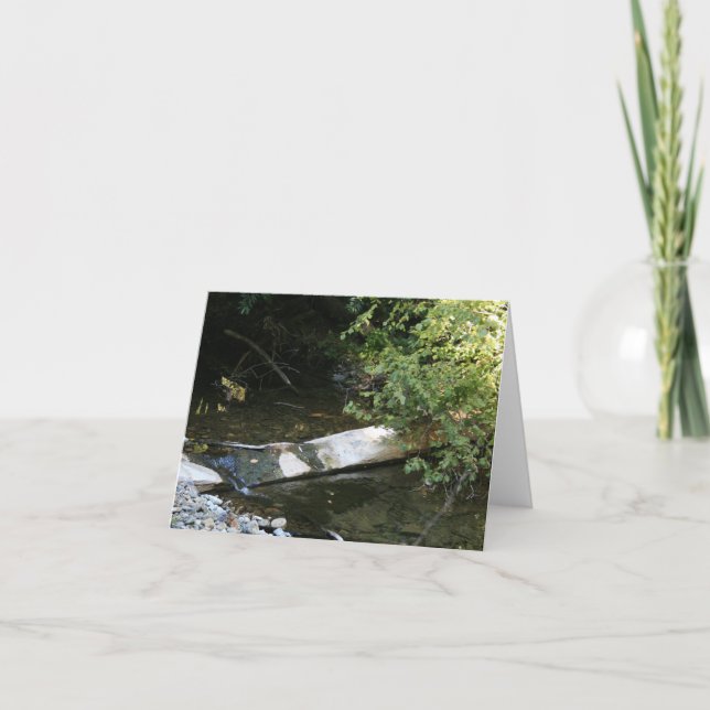 Tomt kort, Muir Skogen Tack Kort (Framsida)