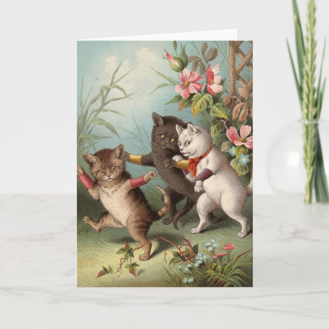 Tomt kort - Naughty Cat-serie - Misskötta katter (Framsida)