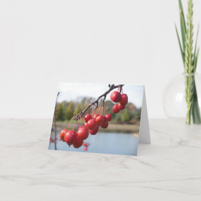 Tomt kort - Röda bär (Framsida)