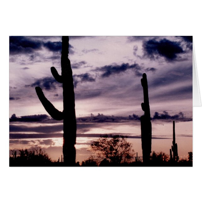 Tomt kort - Saguaro vid solnedgång (Framsidan Horizontal)