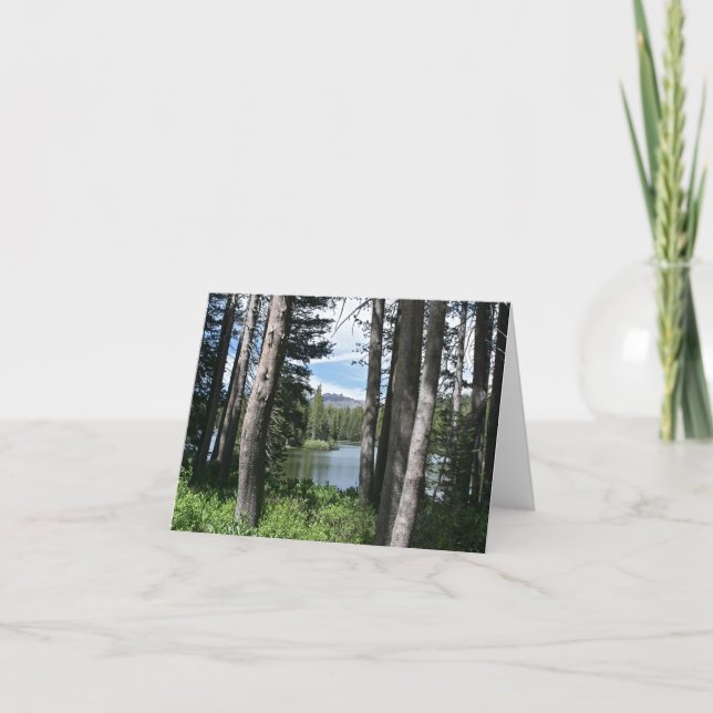 Tomt kort, Sjö, skog Tack Kort (Framsida)