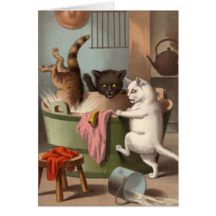 Tomt kort - stygg kattserie - katter Washday