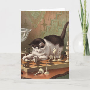 Tomt kort - stygg kattserie - schackkatt